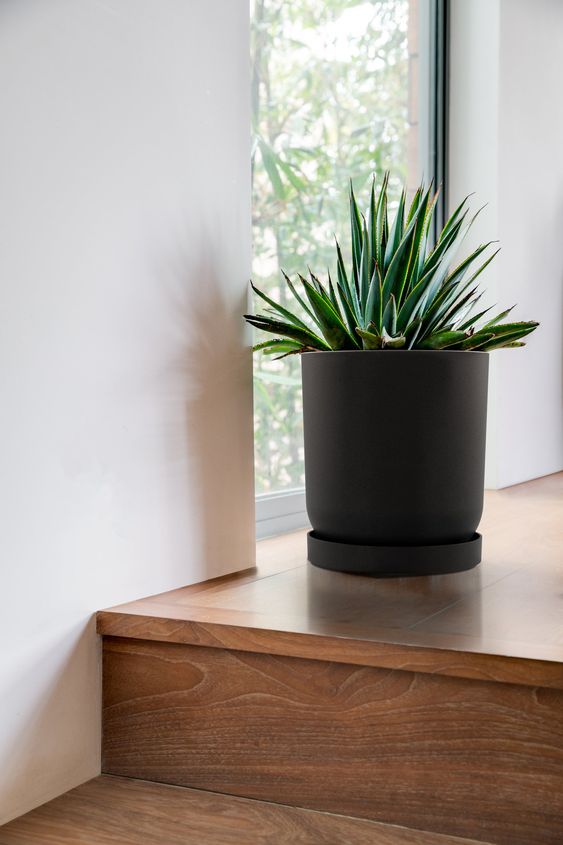 Drip tray indoor gardening