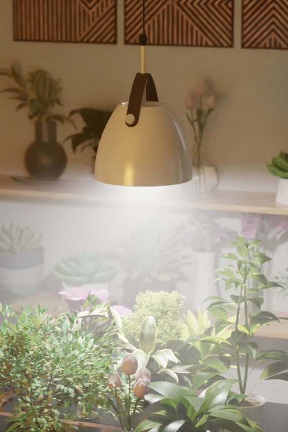 Indoor Plant Lighting Guide