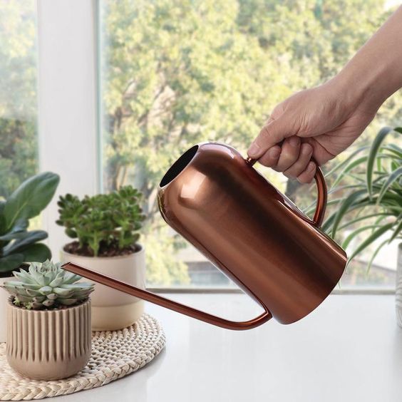 watering indoor plants